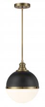  6605-885 - 1 LIGHT PENDANT