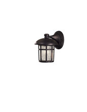  8251-94 - 1 LIGHT WALL MOUNT