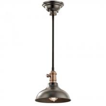  42579OZ - Mini Pendant/Wall 1Lt