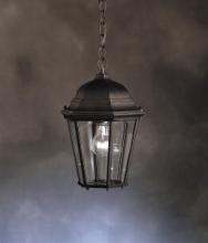  9805BK - Outdoor Pendant 1Lt