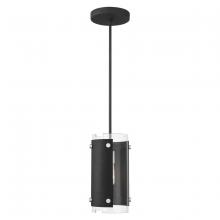  45991-04 - 1 Lt Black Mini Pendant