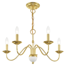  52165-02 - 5 Lt Polished Brass Chandelier