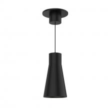  PD-251005-CS-BK - Twist-N-Lite 251005 5CCT Pendant