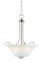  12070FTSN - Vital-Multi-Light Pendant