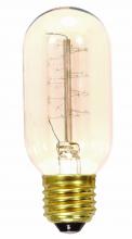  S2416 - 40 Watt T14 Incandescent; Clear; 3000 Average rated hours; 160 Lumens; Medium base; 120 Volt