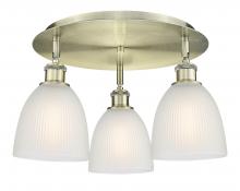  516-3C-AB-G381 - Castile - 3 Light - 18 inch - Antique Brass - Flush Mount