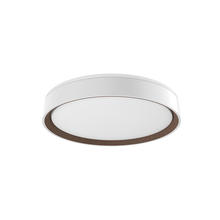  FM43916-WH/WT - Essex Flush Mount 1092 lm