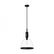  48042 - Hunter Van Nuys Matte Black with Clear Glass 1 Light Pendant Ceiling Light Fixture