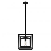  19406 - Hunter Doherty Natural Black Iron 1 Light Medium Pendant Ceiling Light Fixture