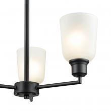  2813-MB - Chandelier Ceiling Light