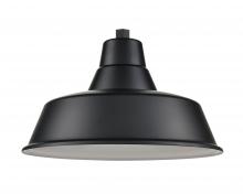  RCLWS17-SB - R Series Lighting Shade