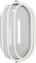  60/524 - 1 Light - 10" Oval Cage Bulkhead - Semi Gloss White Finish