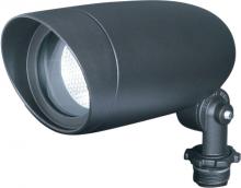  SF76/645 - 1 Light - Landscape Flood - PAR16 Flood - Dark Bronze Finish