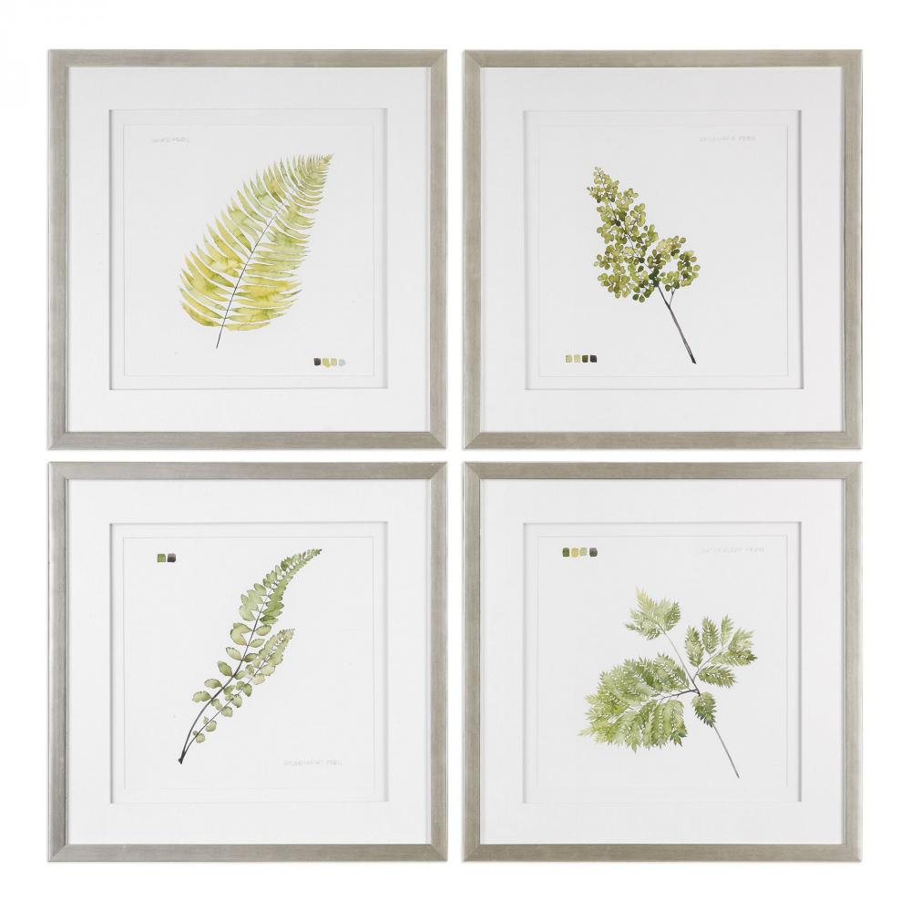 Uttermost Watercolor Leaf Study Prints S/4