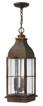  2042SN-LL - Large Hanging Lantern